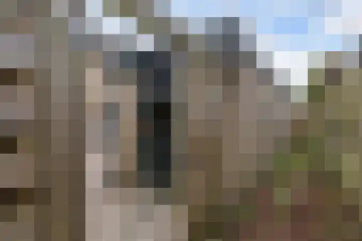 Rak 111 Heerenveen thumbnail 36