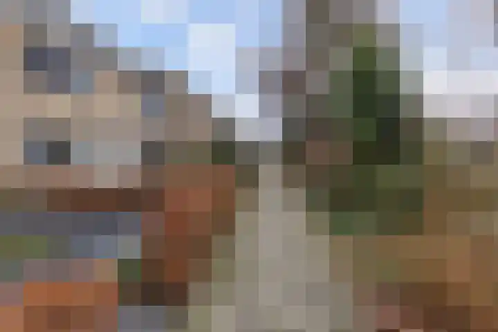 Rak 111 Heerenveen thumbnail 41