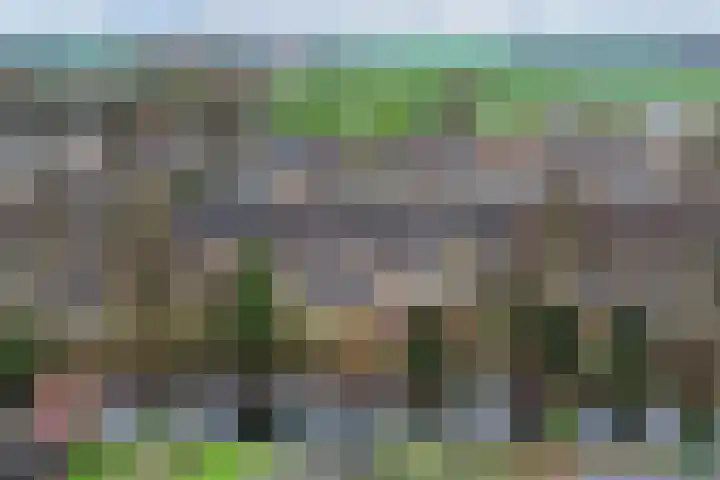 Rak 111 Heerenveen thumbnail 45