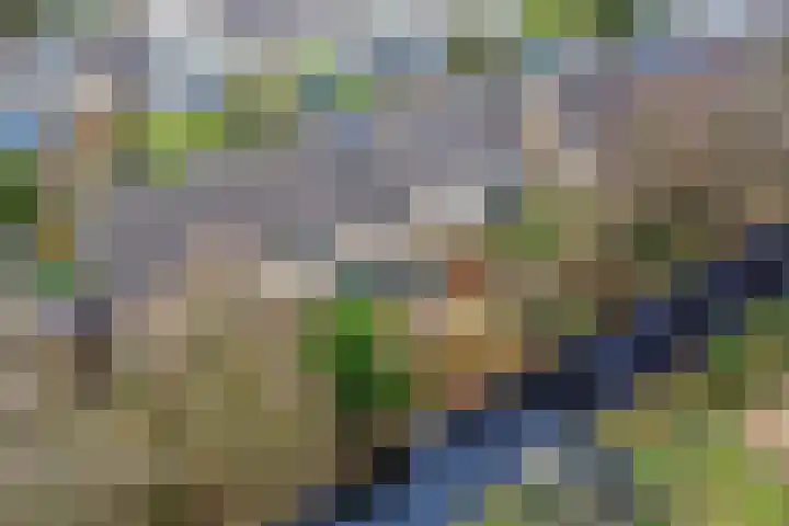 Rak 111 Heerenveen thumbnail 46