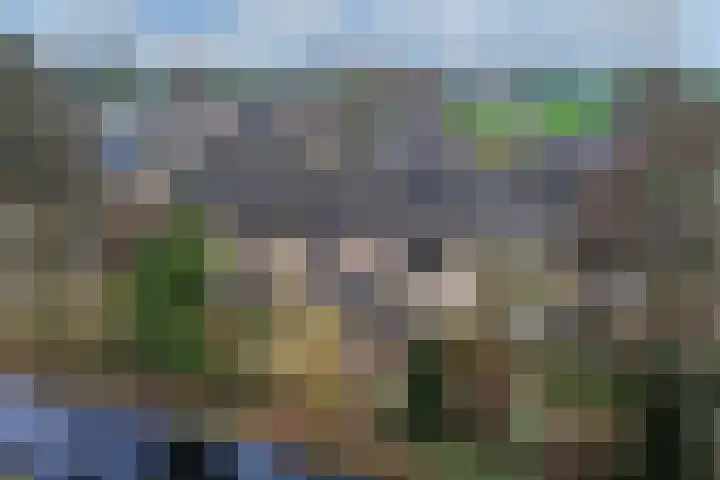 Rak 111 Heerenveen thumbnail 5