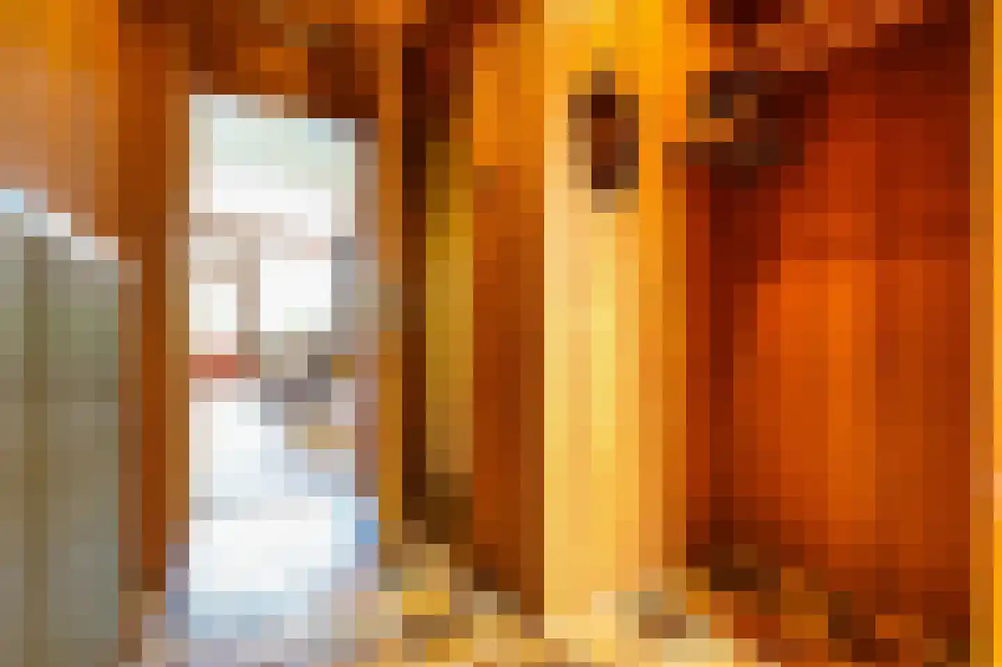 Rak 23 Bergen (NH) thumbnail 20