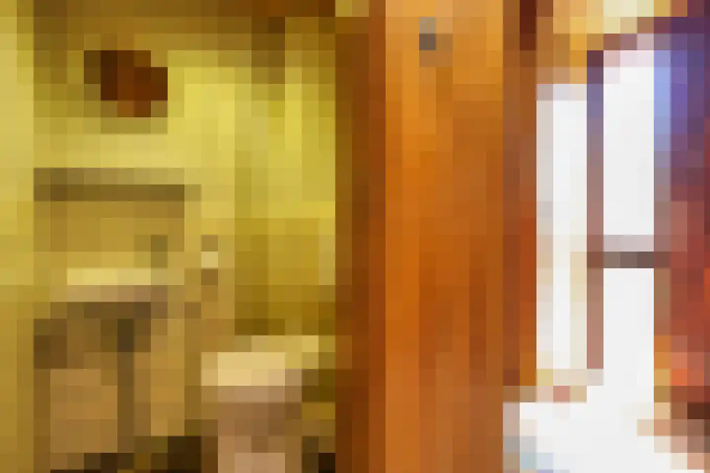 Rak 23 Bergen (NH) thumbnail 22