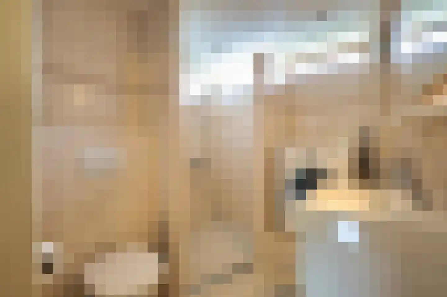 Rak 23 Bergen (NH) thumbnail 24