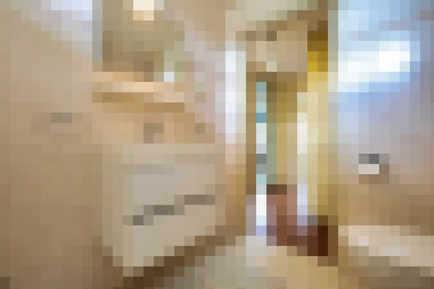 Rak 23 Bergen (NH) thumbnail 25