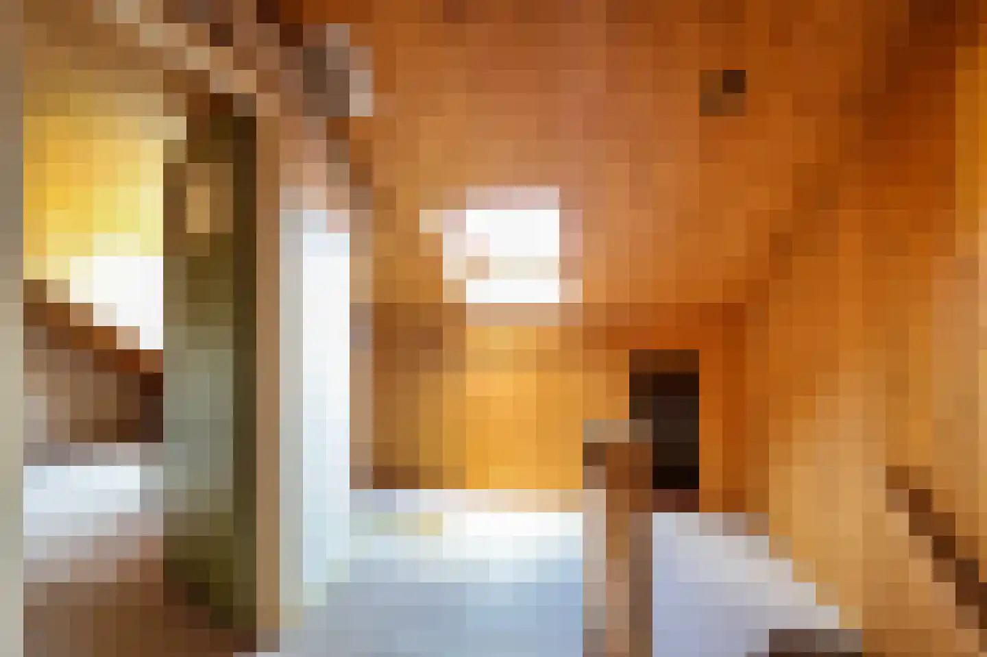 Rak 23 Bergen (NH) thumbnail 34