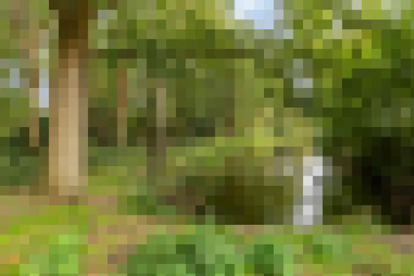 Rak 23 Heerenveen thumbnail 40