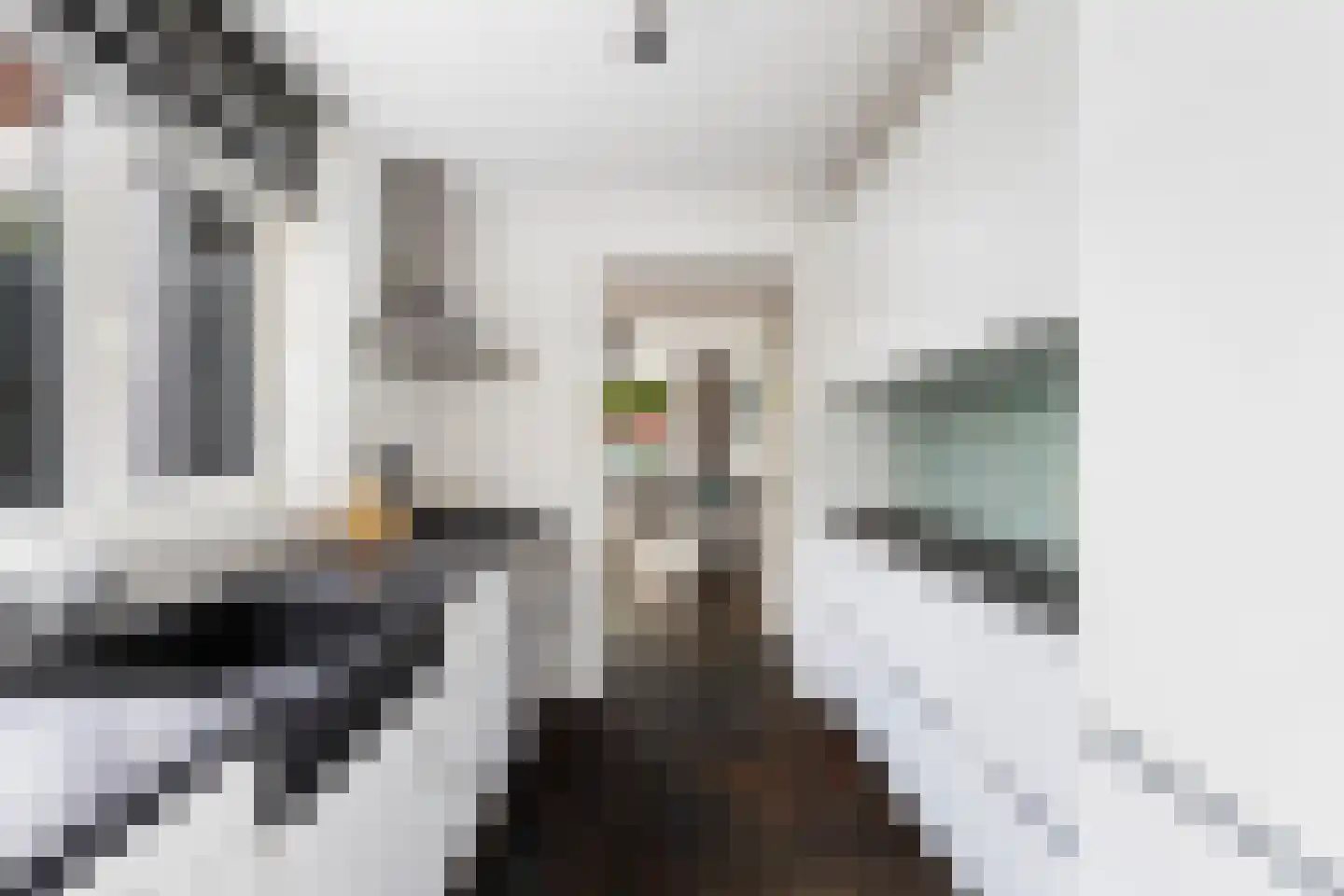 Rakehof 12 Prinsenbeek thumbnail 15