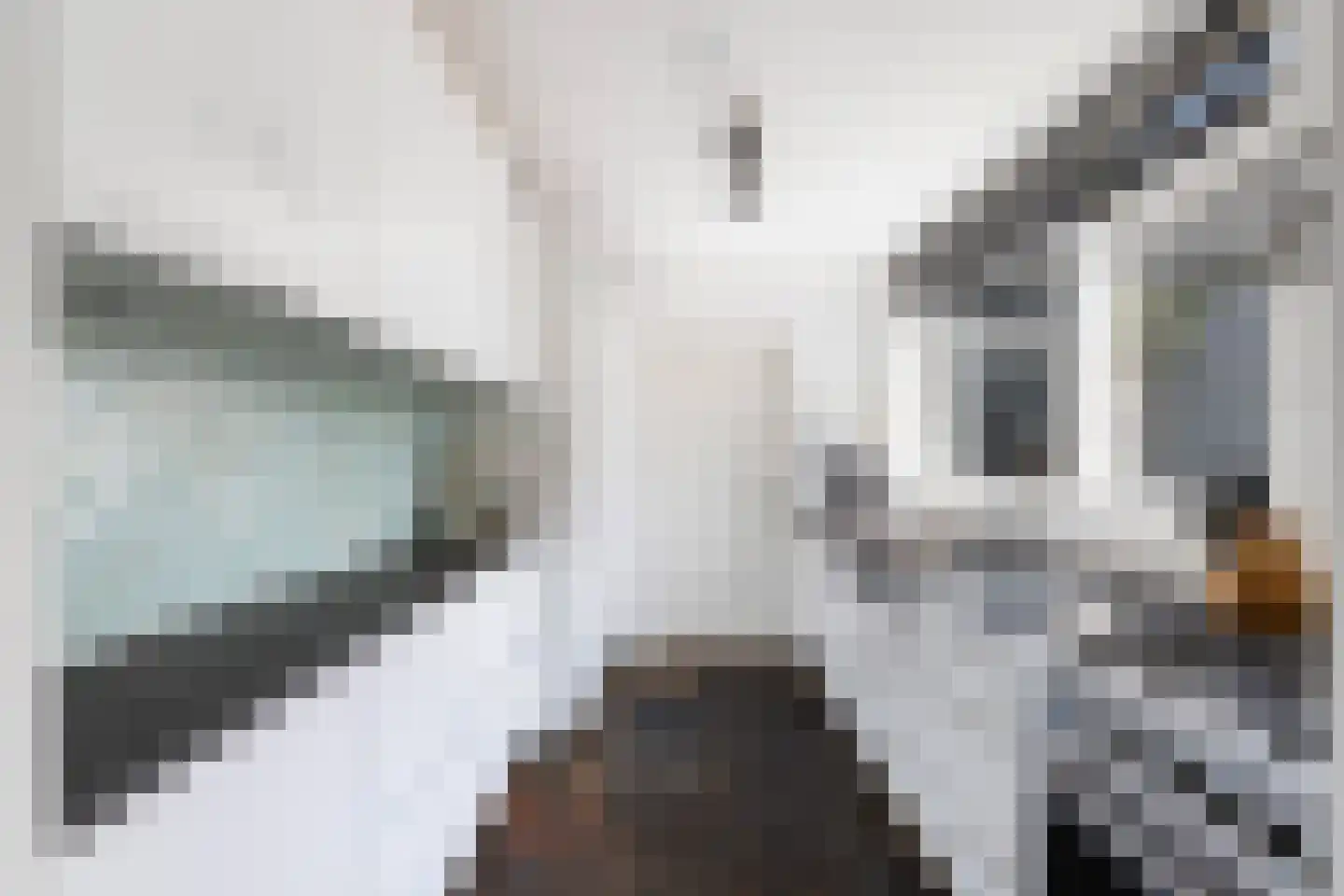 Rakehof 12 Prinsenbeek thumbnail 16