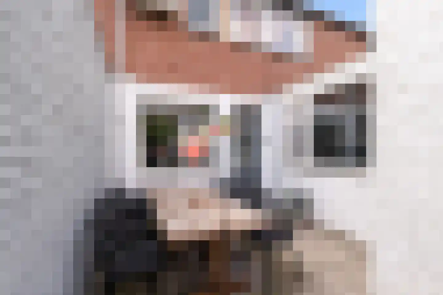 Rakehof 12 Prinsenbeek thumbnail 28