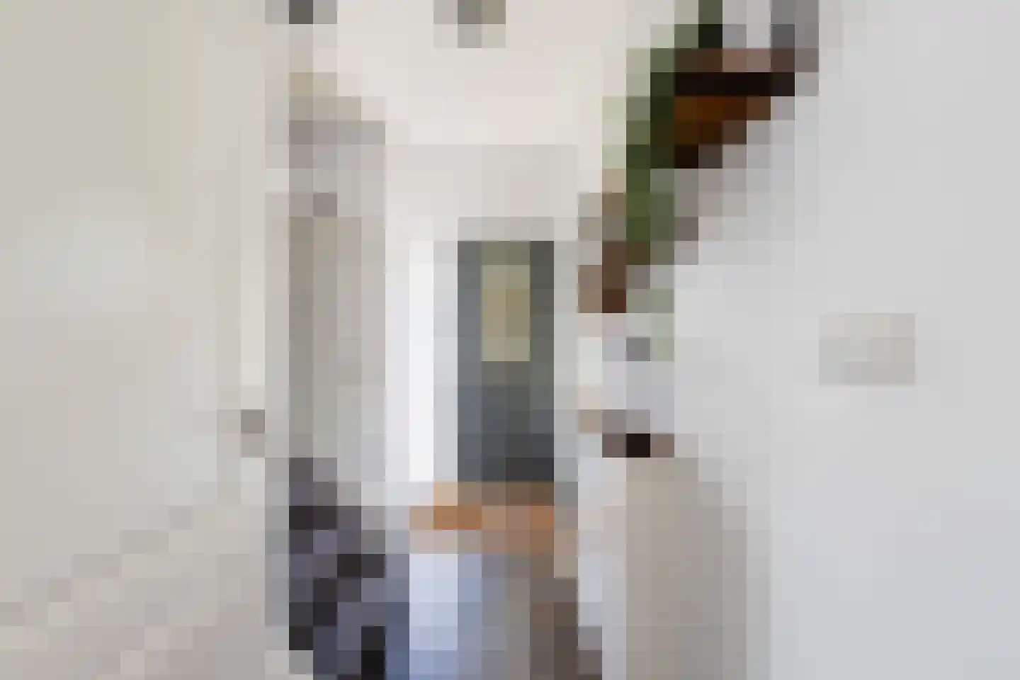 Rakehof 12 Prinsenbeek thumbnail 8