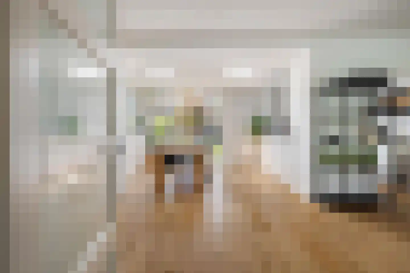 Rakehof 27 Prinsenbeek thumbnail 15