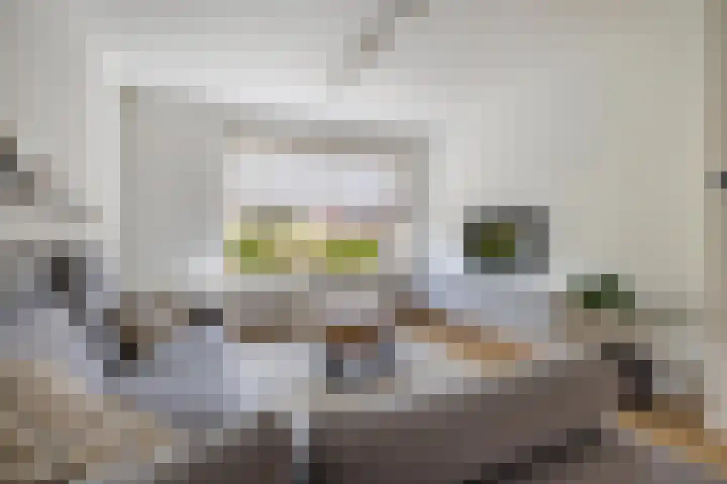 Rakehof 27 Prinsenbeek thumbnail 20
