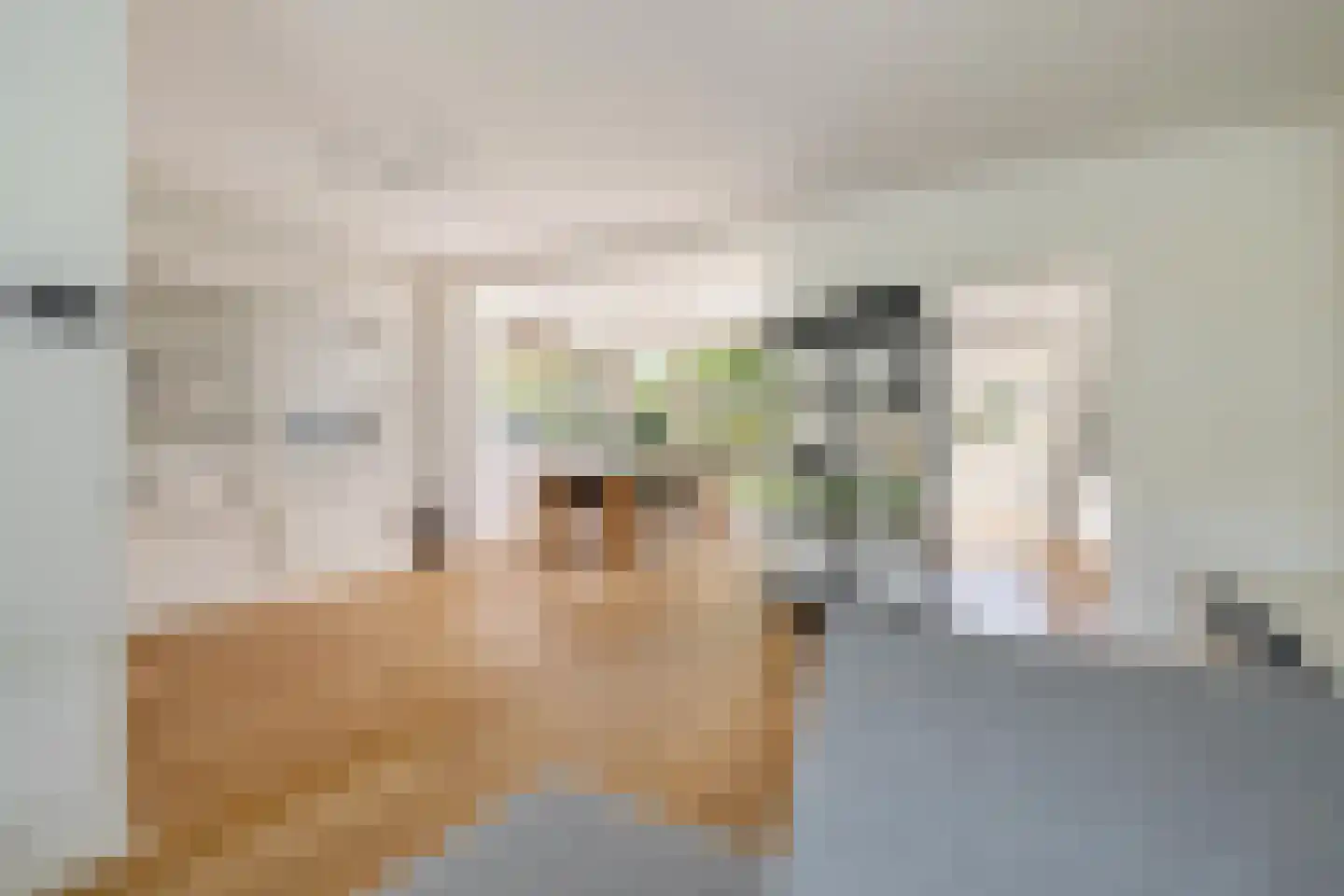 Rakehof 27 Prinsenbeek thumbnail 21