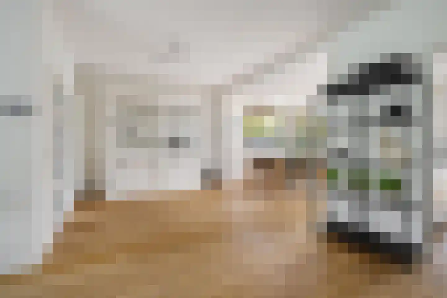 Rakehof 27 Prinsenbeek thumbnail 24
