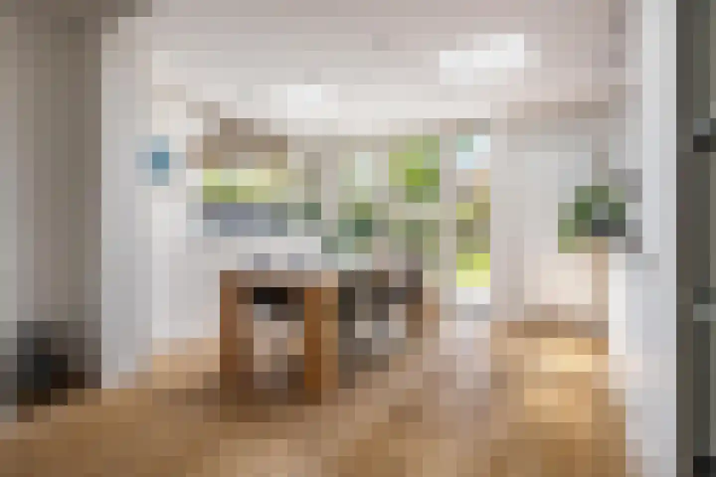Rakehof 27 Prinsenbeek thumbnail 25