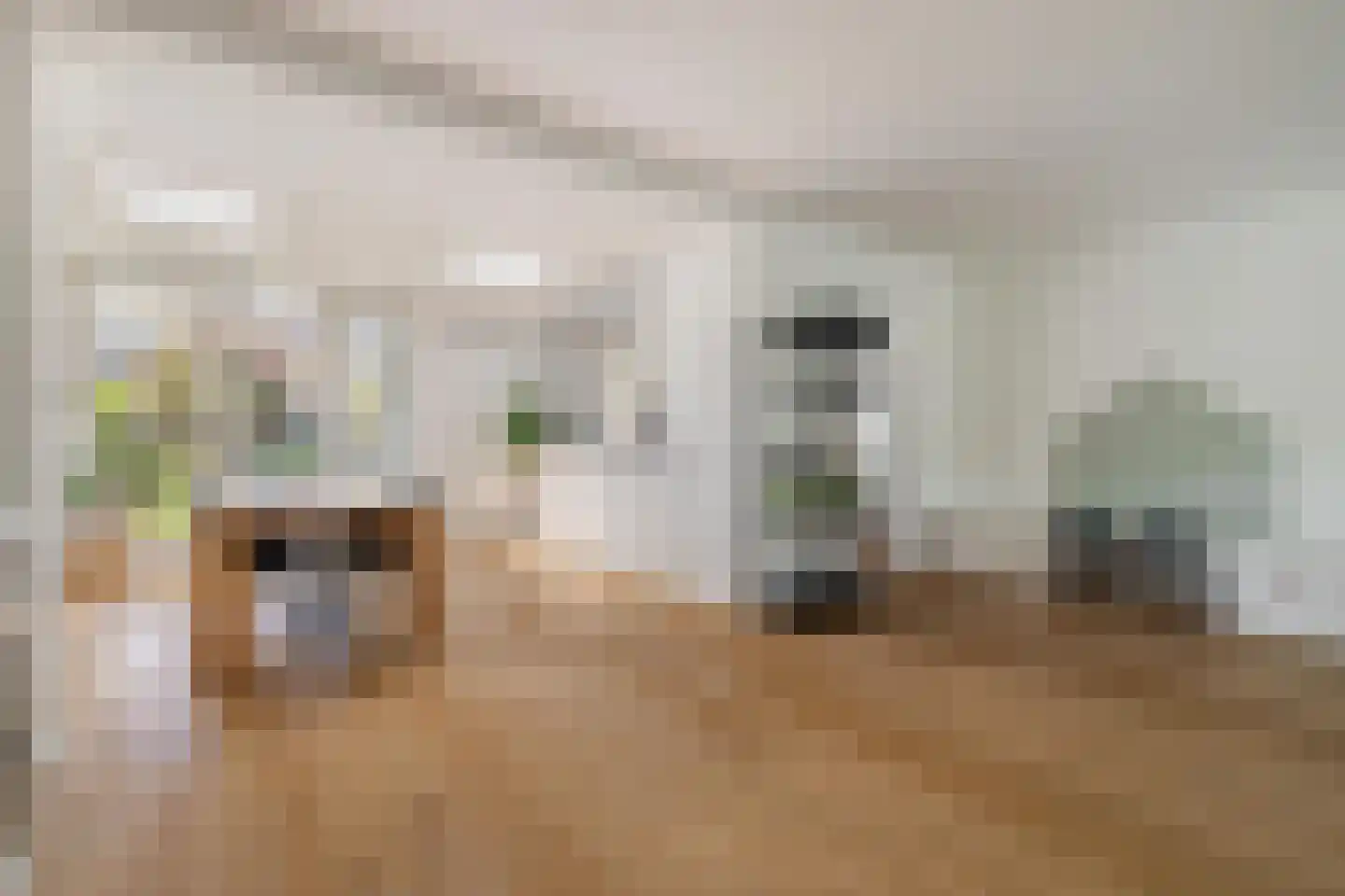 Rakehof 27 Prinsenbeek thumbnail 26