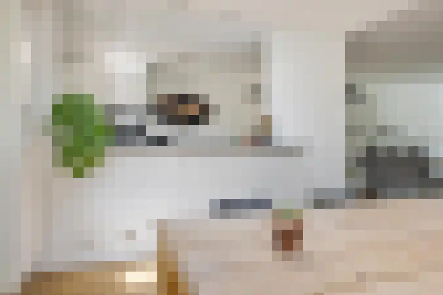 Rakehof 27 Prinsenbeek thumbnail 28