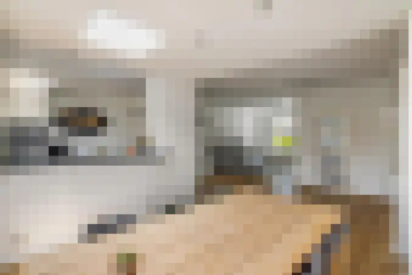 Rakehof 27 Prinsenbeek thumbnail 31
