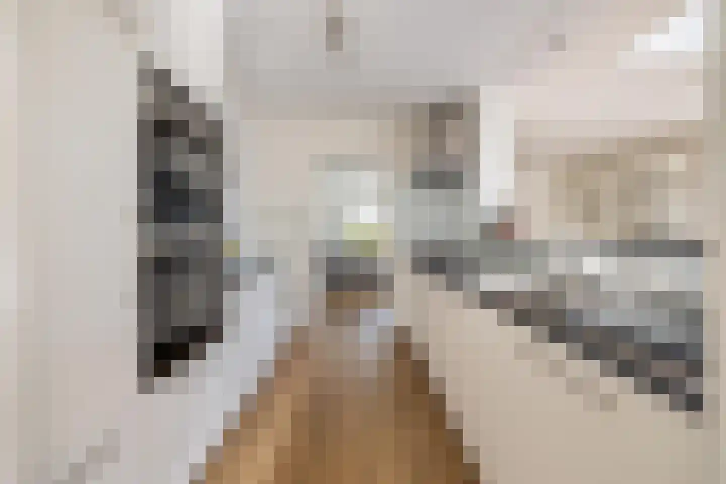 Rakehof 27 Prinsenbeek thumbnail 36