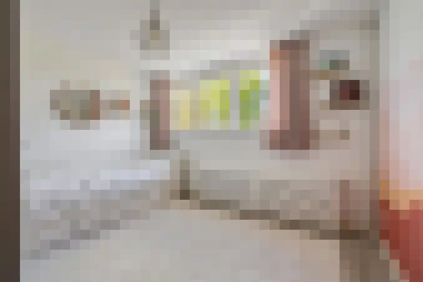 Rakehof 27 Prinsenbeek thumbnail 46