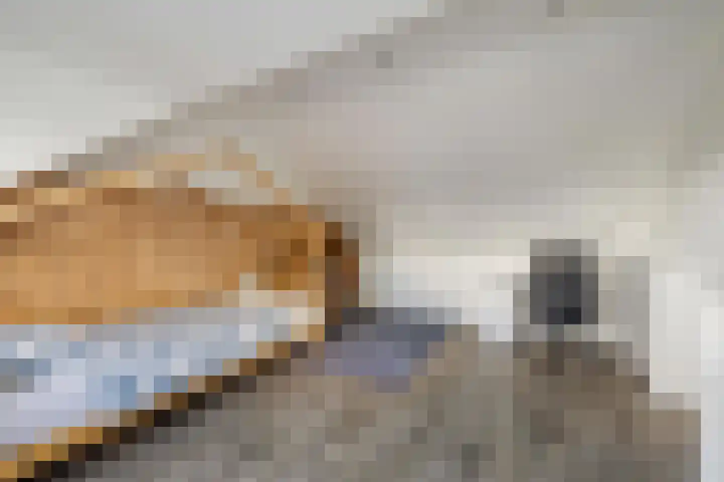 Rakehof 27 Prinsenbeek thumbnail 56