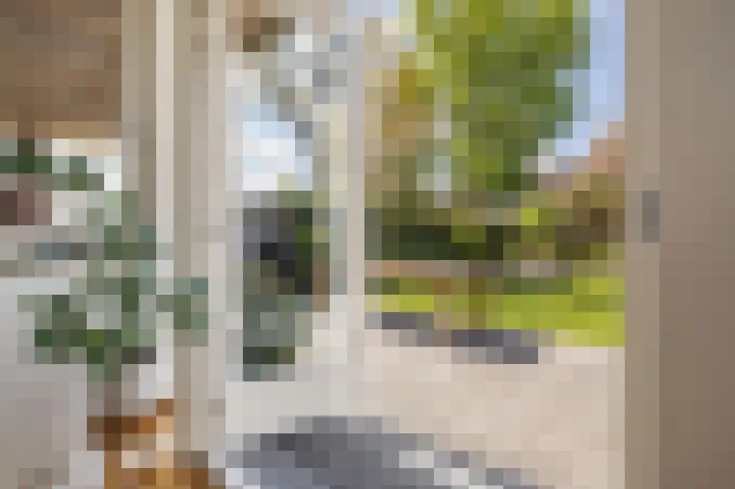 Rakehof 27 Prinsenbeek thumbnail 58