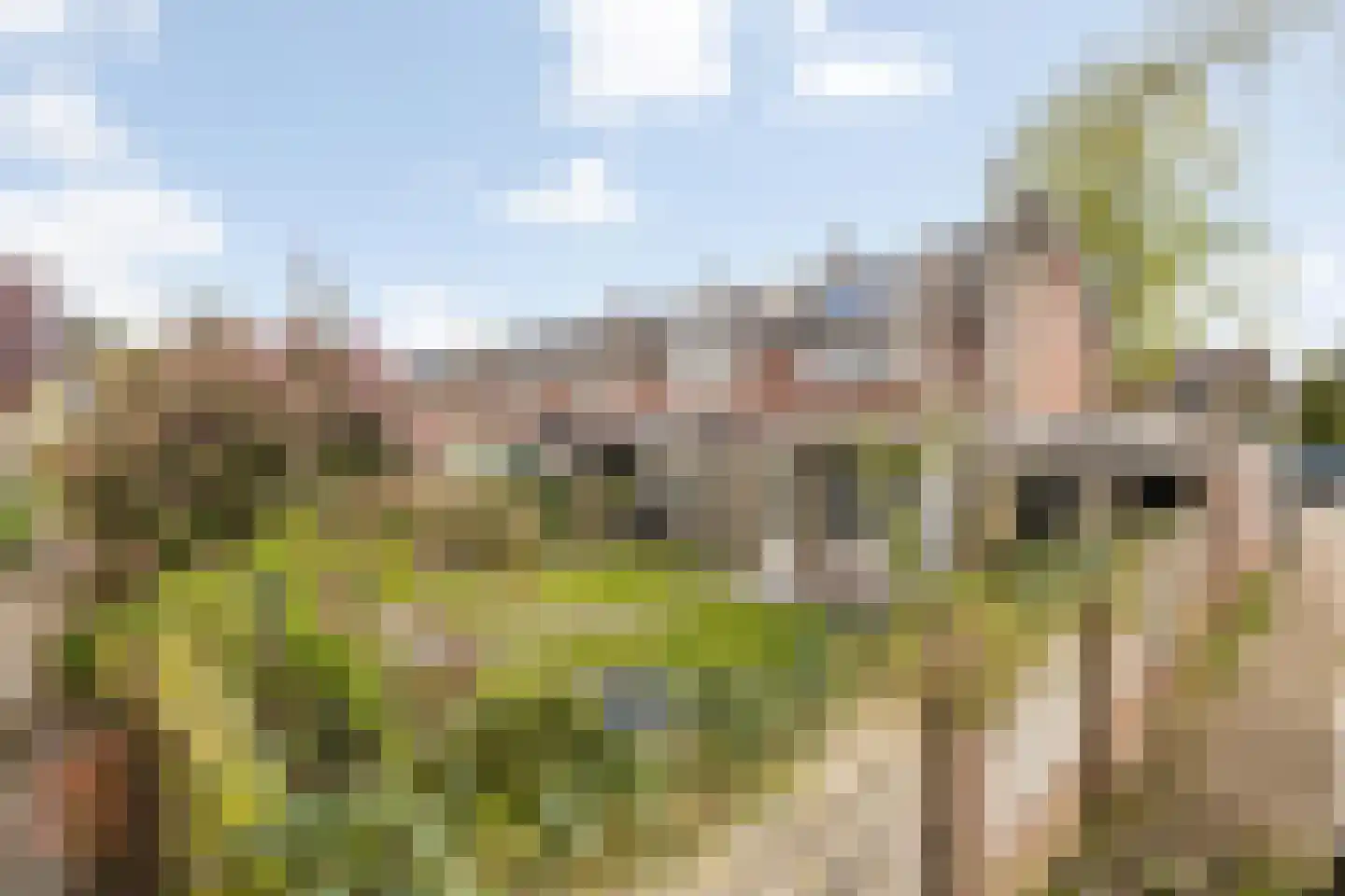Rakehof 27 Prinsenbeek thumbnail 67