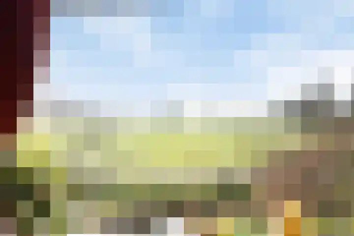Rakekolkweg 5 Rekken thumbnail 10