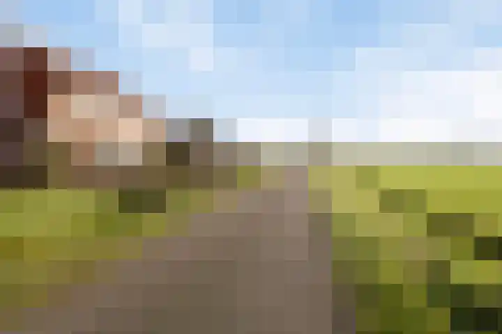 Rakekolkweg 5 Rekken foto 2
