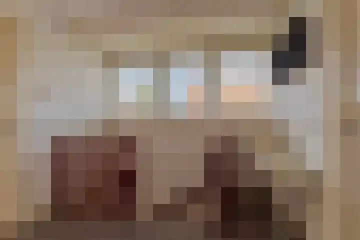 Rakekolkweg 5 Rekken thumbnail 21