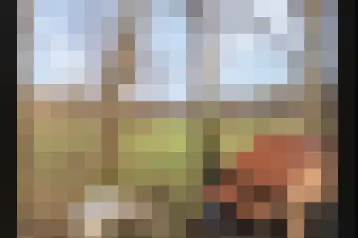 Rakekolkweg 5 Rekken thumbnail 24