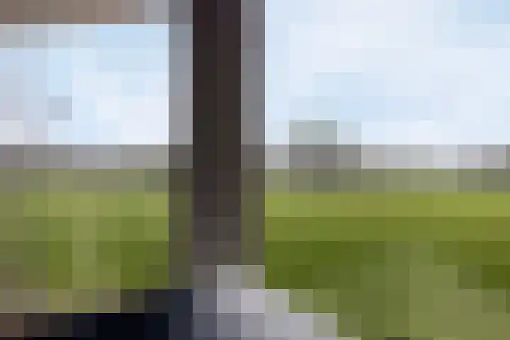 Rakekolkweg 5 Rekken thumbnail 26
