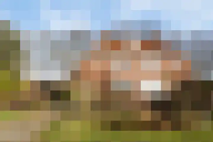 Rakekolkweg 5 Rekken thumbnail 30