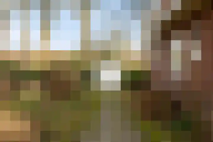 Rakekolkweg 5 Rekken thumbnail 31