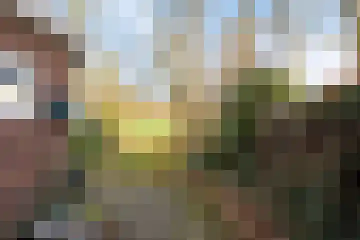 Rakekolkweg 5 Rekken thumbnail 32