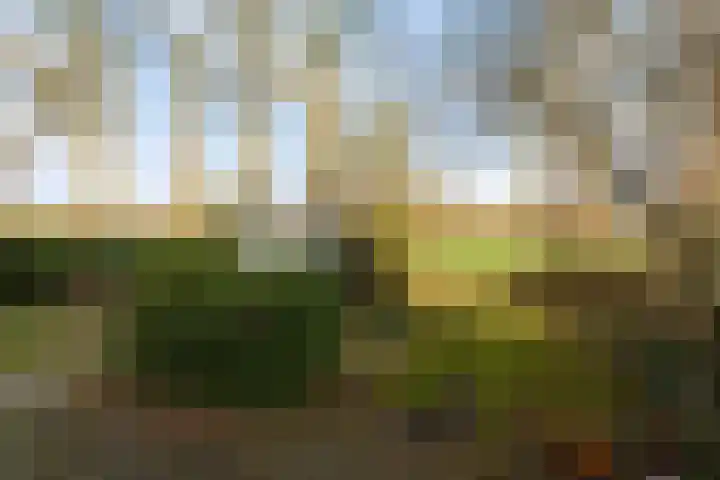 Rakekolkweg 5 Rekken thumbnail 33