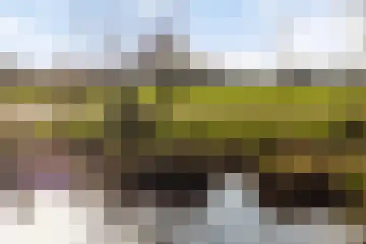 Rakekolkweg 5 Rekken thumbnail 35