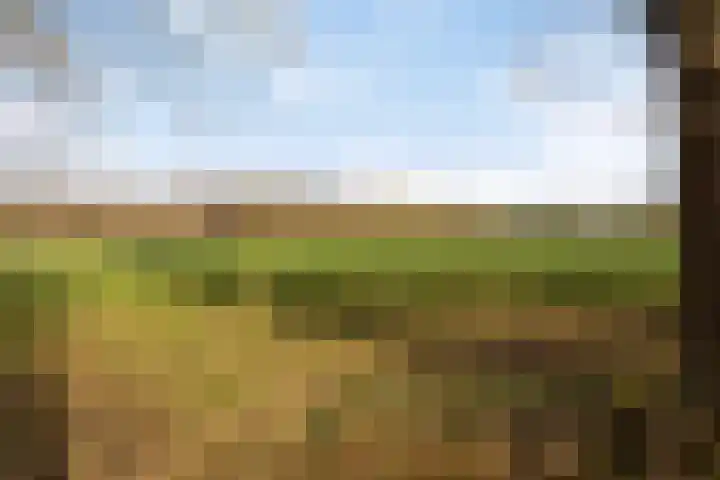 Rakekolkweg 5 Rekken thumbnail 36