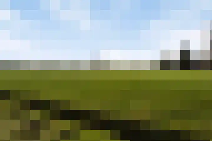 Rakekolkweg 5 Rekken thumbnail 37