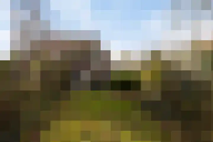 Rakekolkweg 5 Rekken thumbnail 5