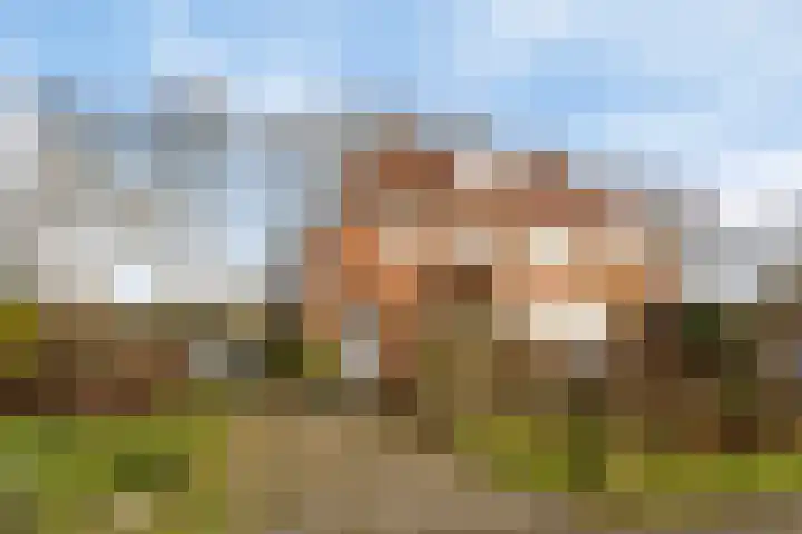 Rakekolkweg 5 Rekken thumbnail 6