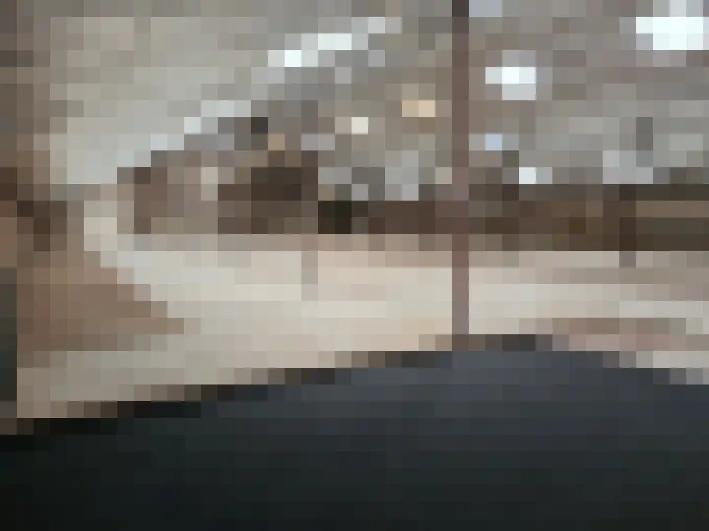 Rakerstraat 4 Maarheeze thumbnail 12