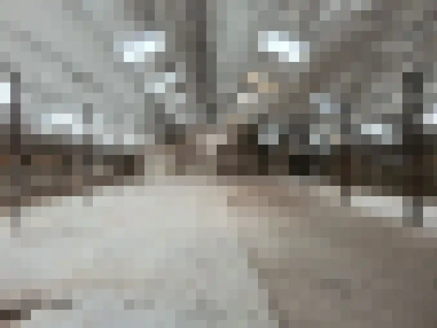 Rakerstraat 4 Maarheeze thumbnail 13