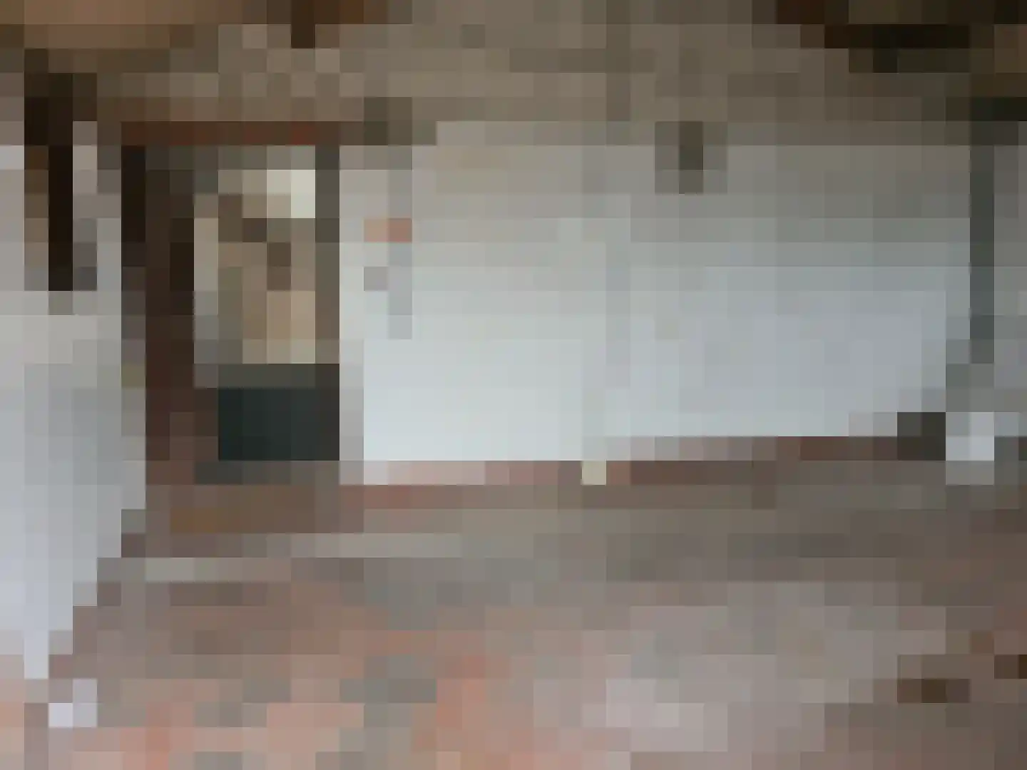 Rakerstraat 4 Maarheeze thumbnail 14