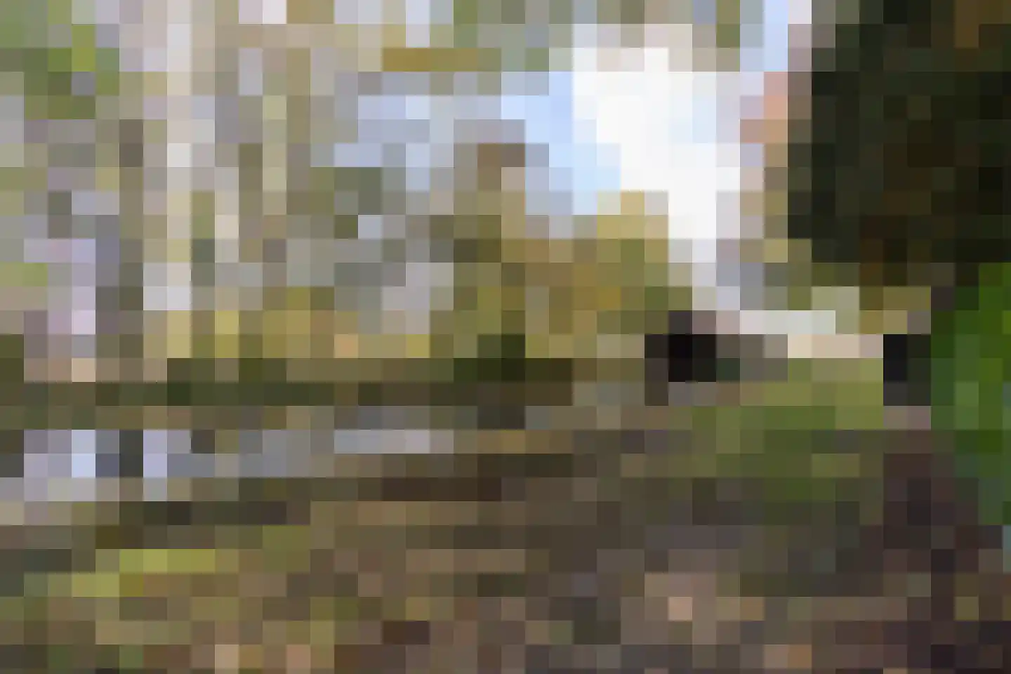 Rakerstraat 5 Weert thumbnail 4