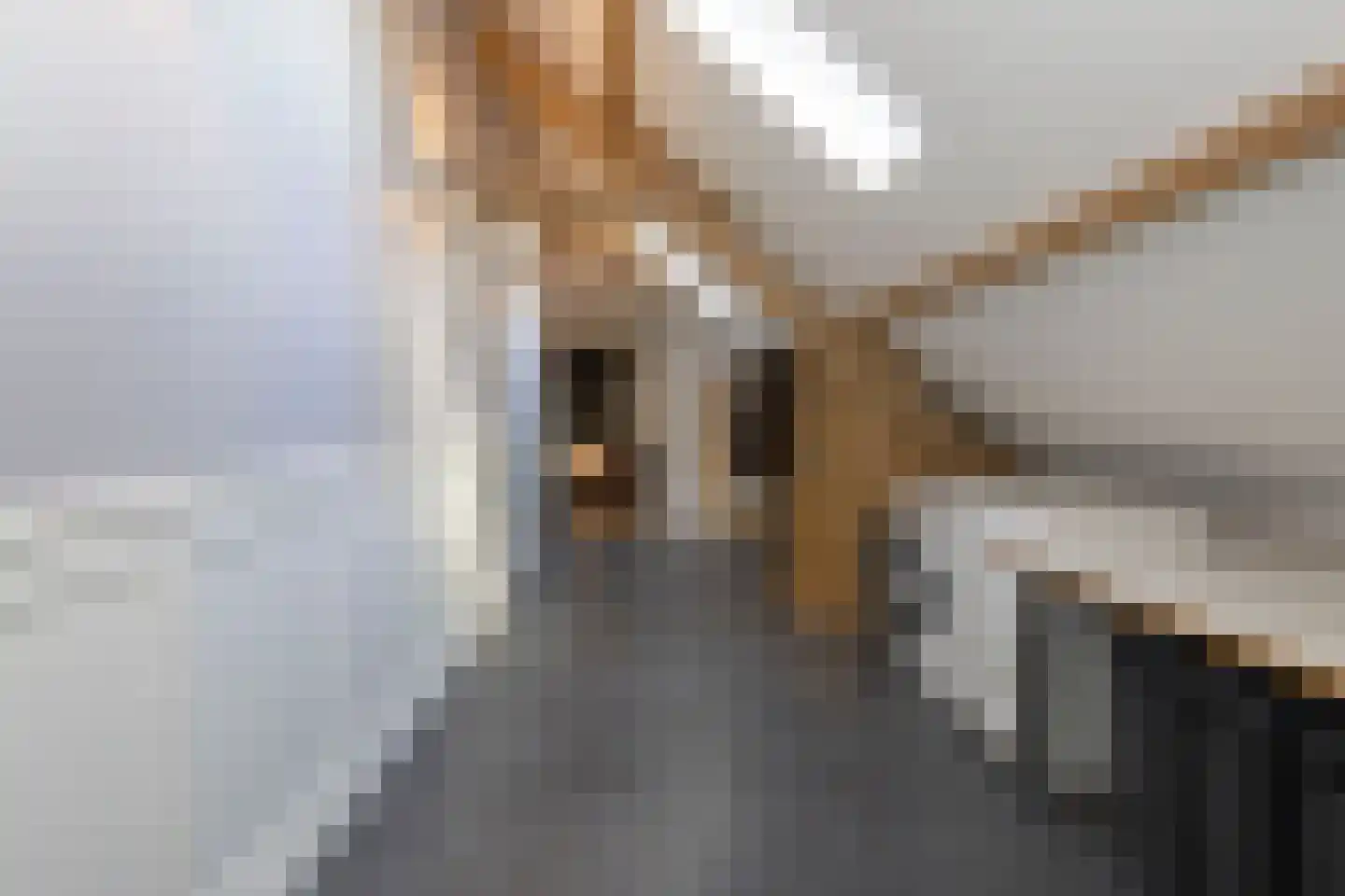 Rakerstraat 5 Weert thumbnail 42