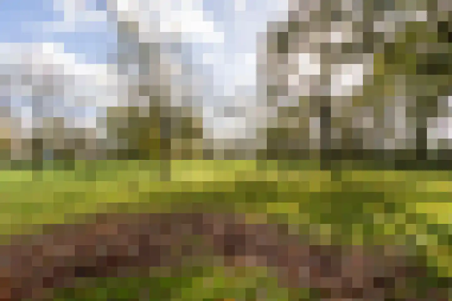 Rakerstraat 5 Weert thumbnail 5