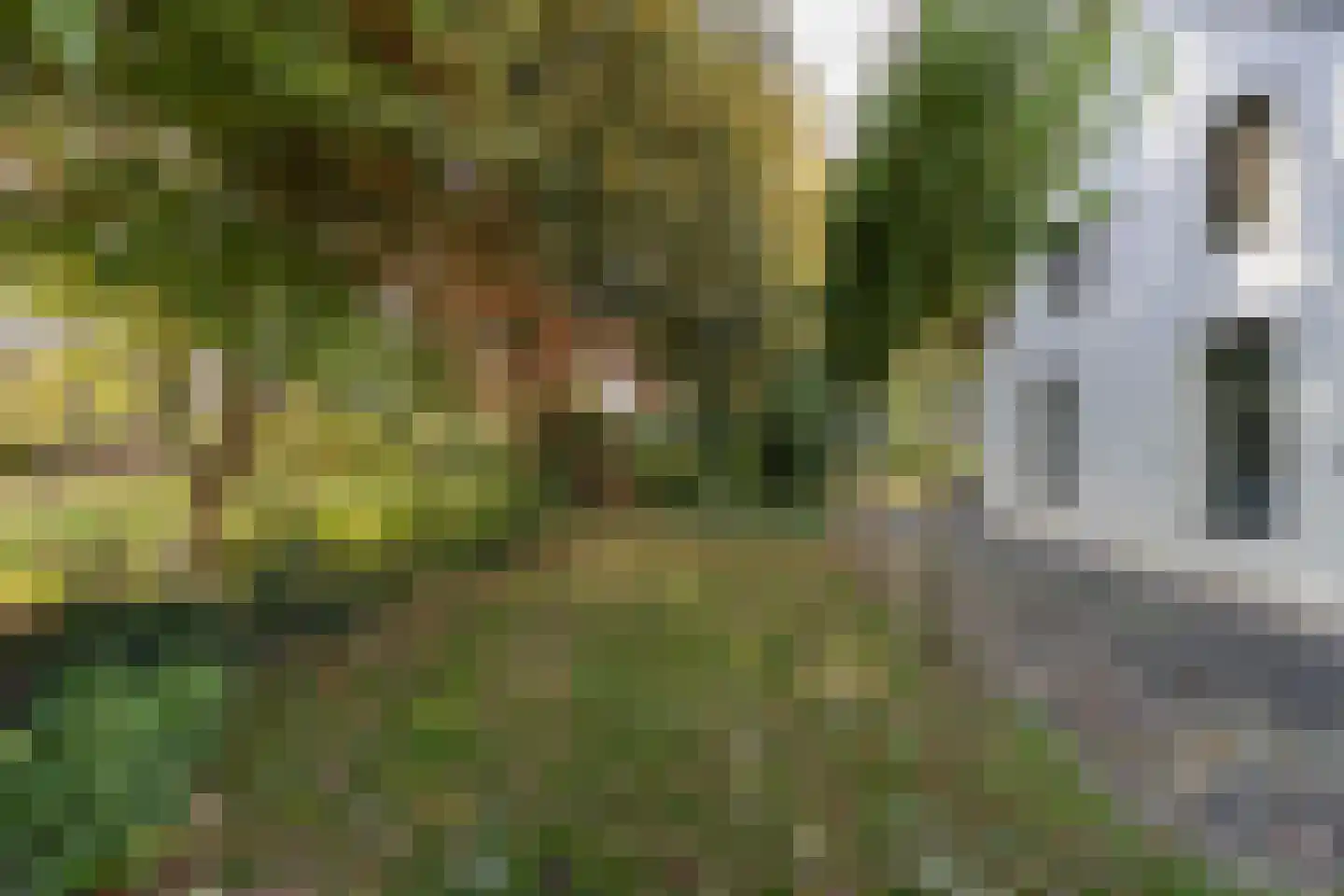 Rakerstraat 5 Weert thumbnail 55