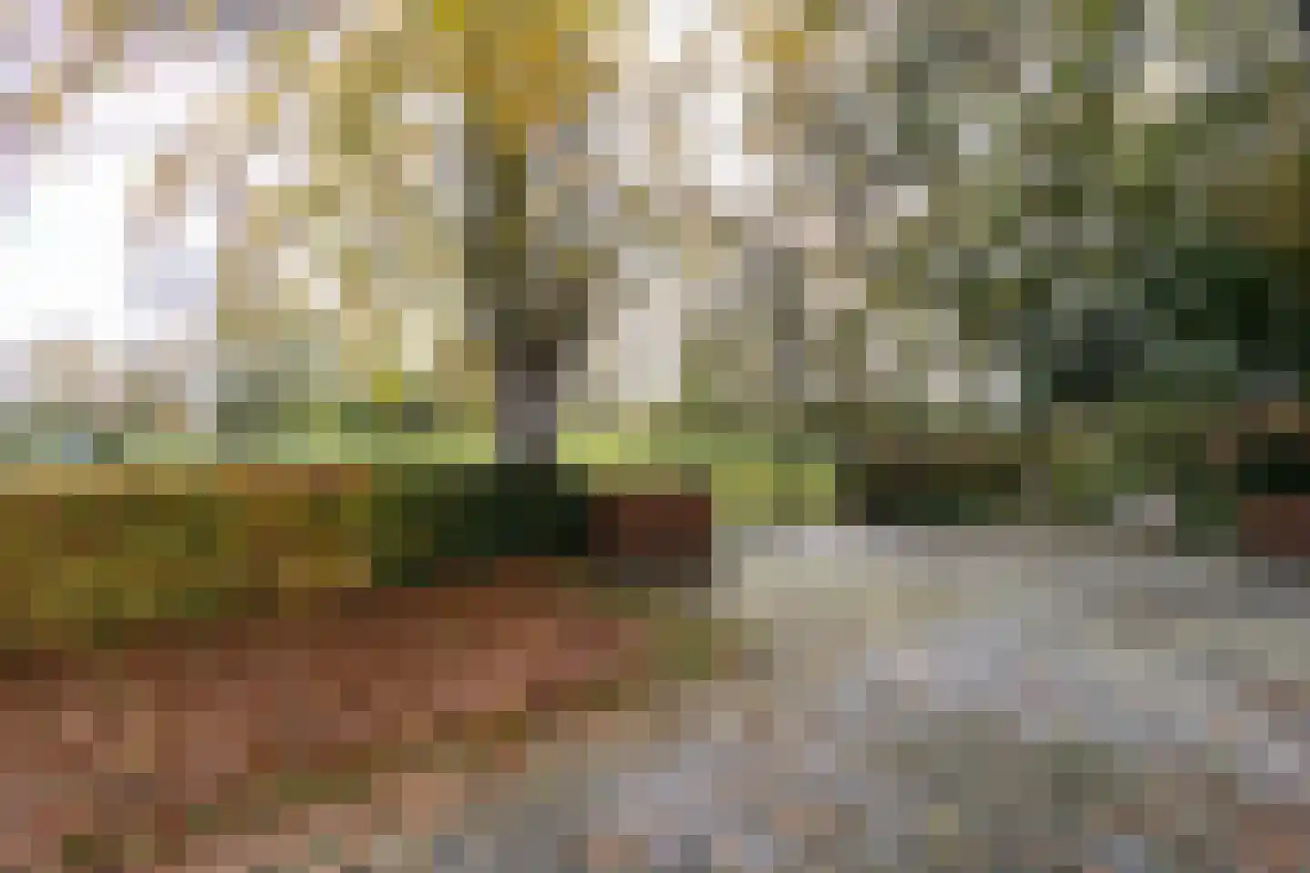 Rakerstraat 5 Weert thumbnail 57